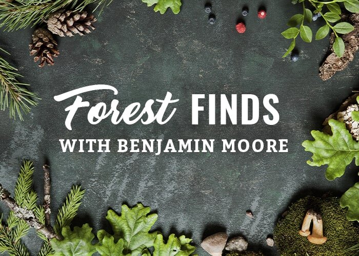 Forest Finds with Benjamin Moore