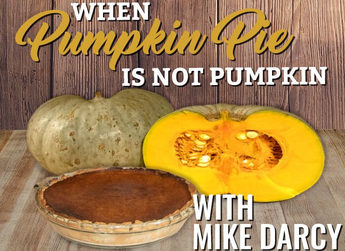 When A Pumpkin Pie Is Not Pumpkin with Mike Darcy