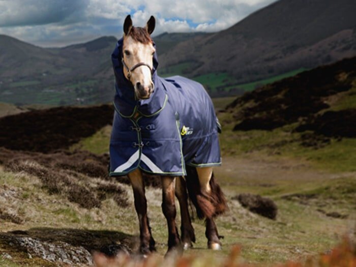 Surviving Winter with Horses