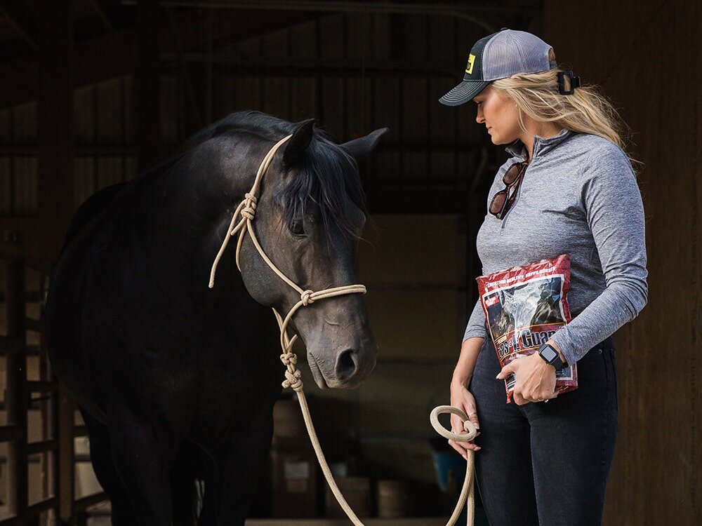 Treat Your Horse to The Benefits of Flaxseed