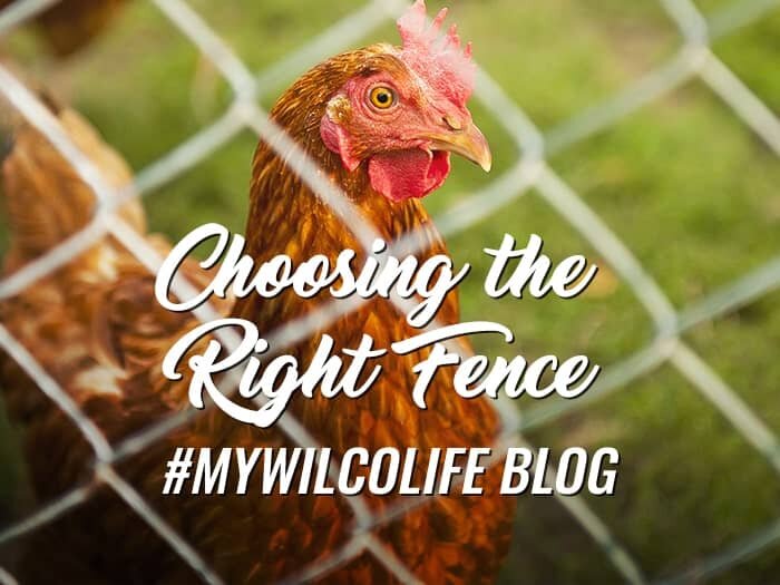 Choosing the Right Fence