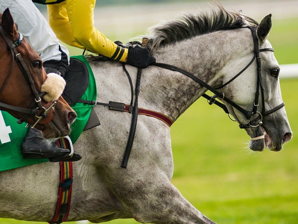 Off To The Races: American Horse Racing & Where To Watch It