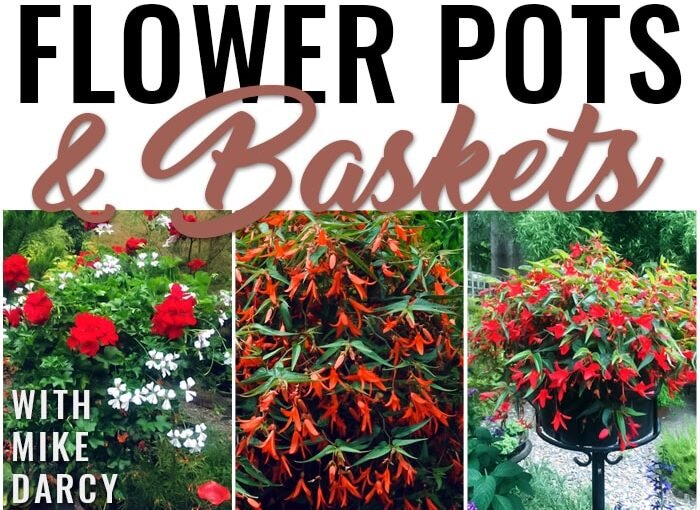 Flower Pots & Baskets with Mike Darcy