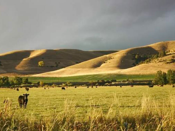 First REAL Oregon class selected for leadership training