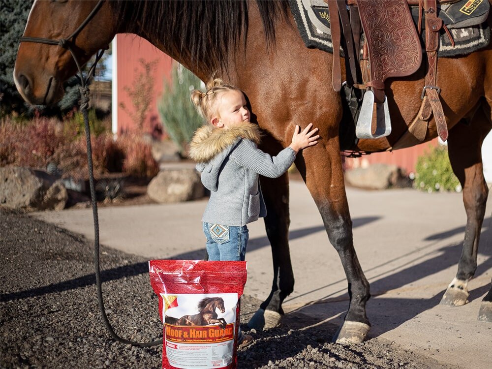 What Supplement is Right for My Horse?