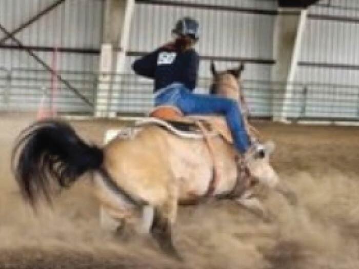 What is OHSET and WAHSET???