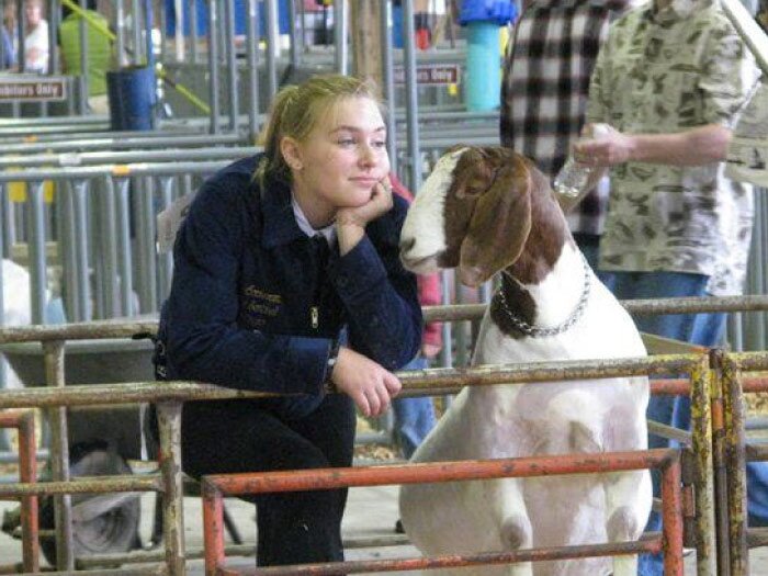 Winners Announced for FFA Gift Card Art Contest! View News