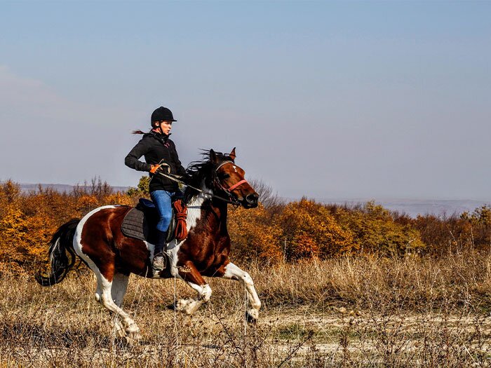 Getting Back Out to Ride: Horse Riding Safety Tips