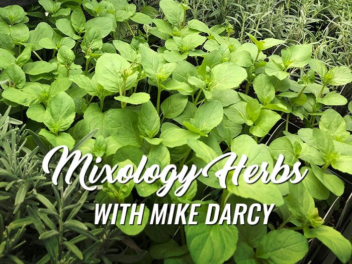 Mixology Herbs with Mike Darcy