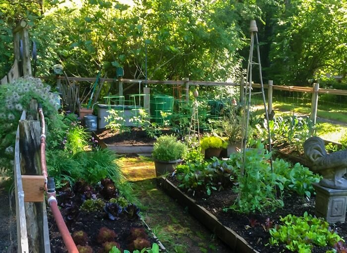 Raised Beds with Mike Darcy