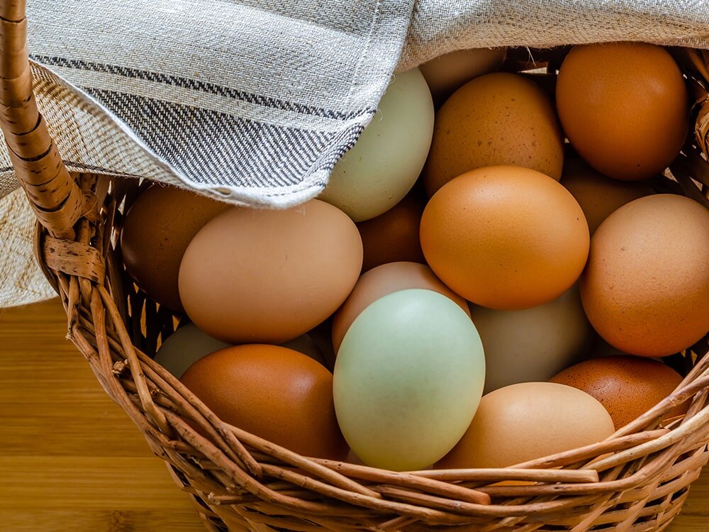 Backyard Egg Basket with Benjamin Moore