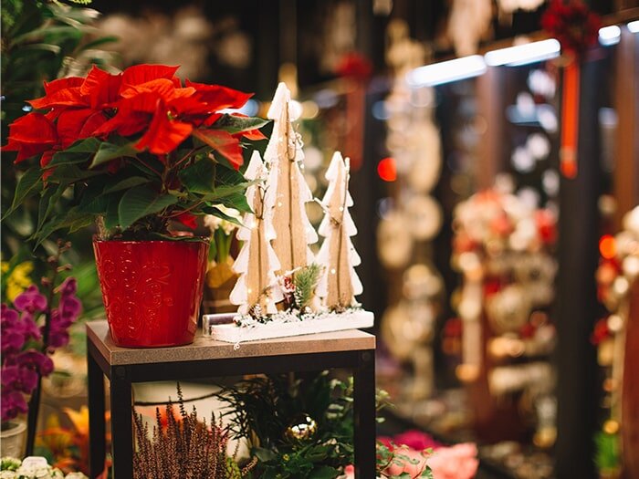 Gifts for Gardeners with Mike Darcy