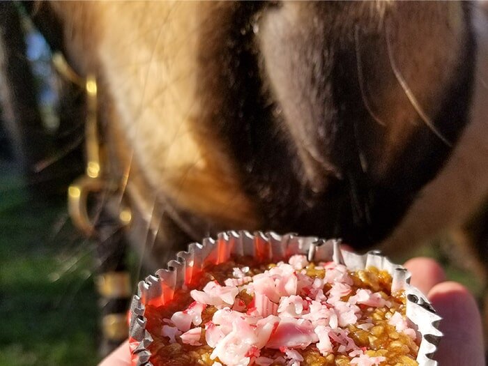 3 Easy Horse Treat Recipes for Valentine’s Day