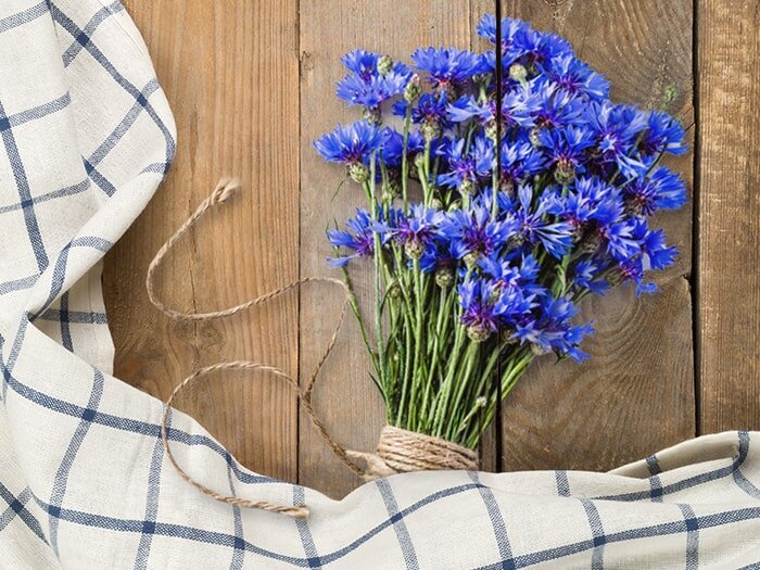 Farm House Colors with Benjamin Moore