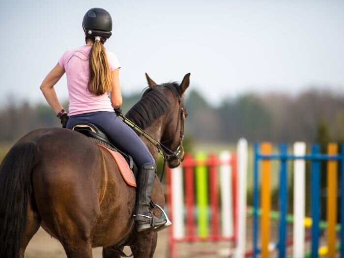 What Are English Equestrian Sports? A Guide to Riding Disciplines