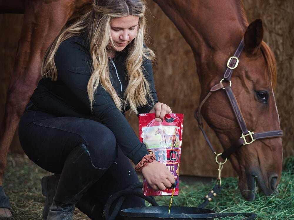 Prepping Your Horse for Winter