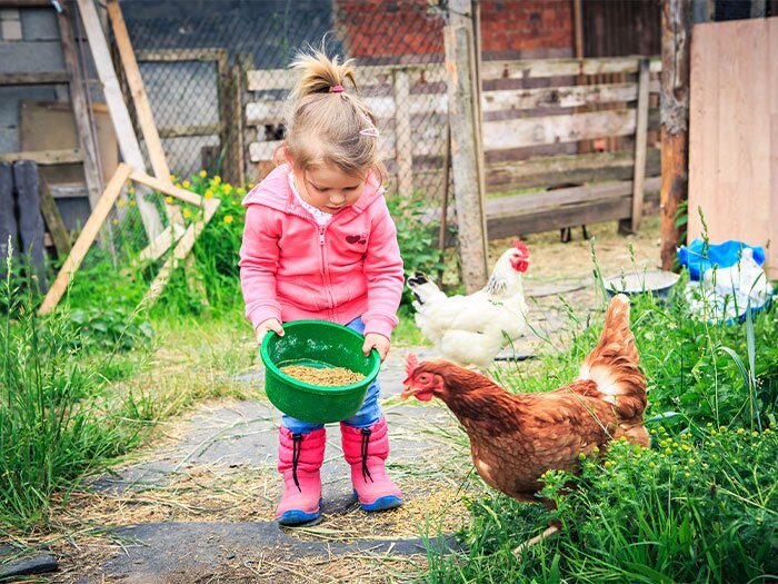 Farm Animals that Kids Can Raise
