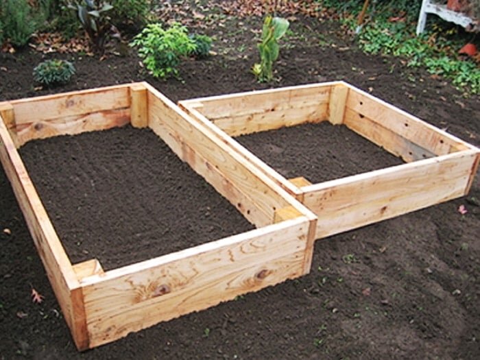 5 Things Every Raised Bed Gardener Should Know