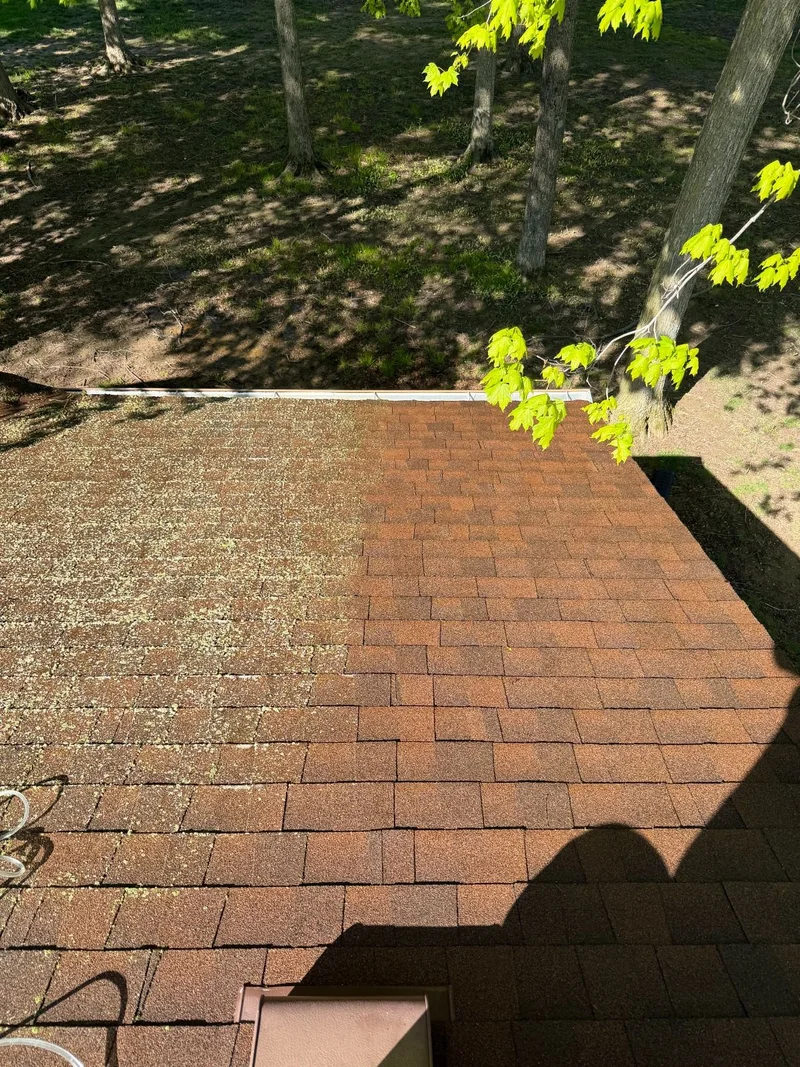 Roof Algae Treatment