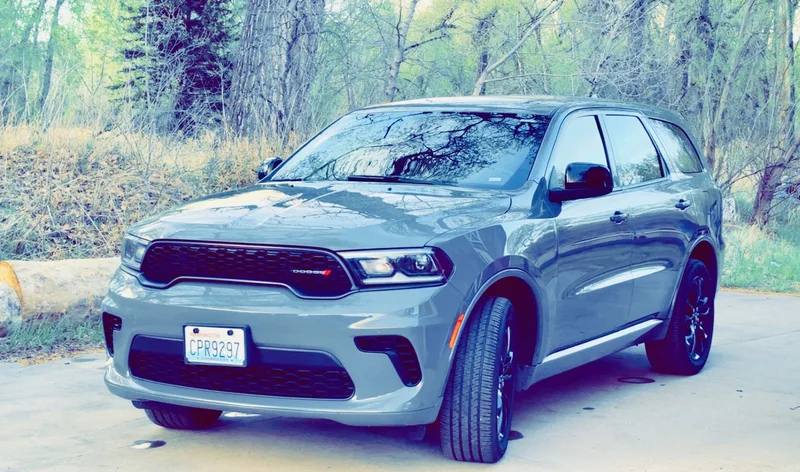 Gray Dodge SUV detailed beside a wooded driveway