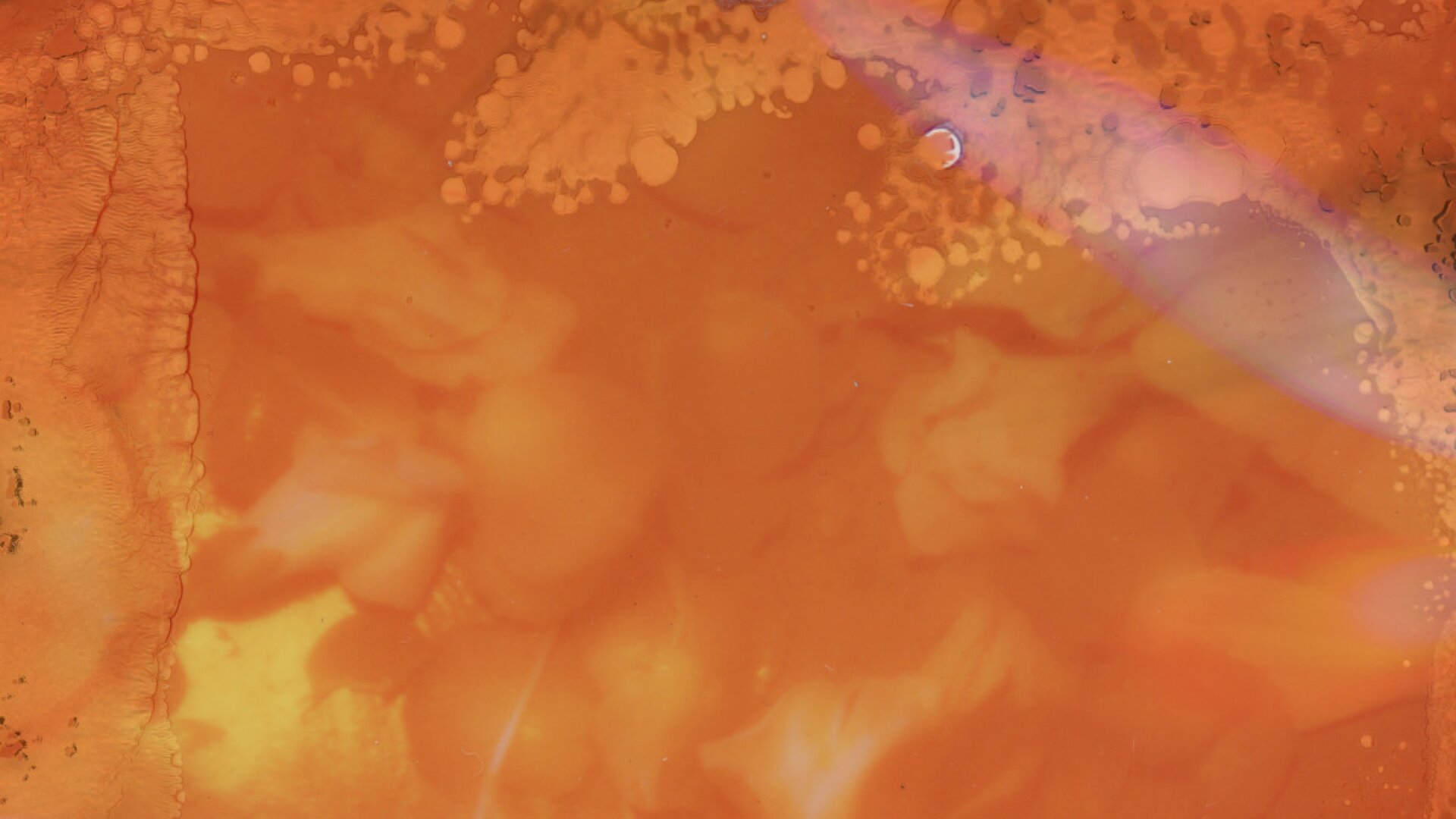Mayo Clinic: What “Leaky Gut” Really Means and How to Support a Healthy Gut Barrier