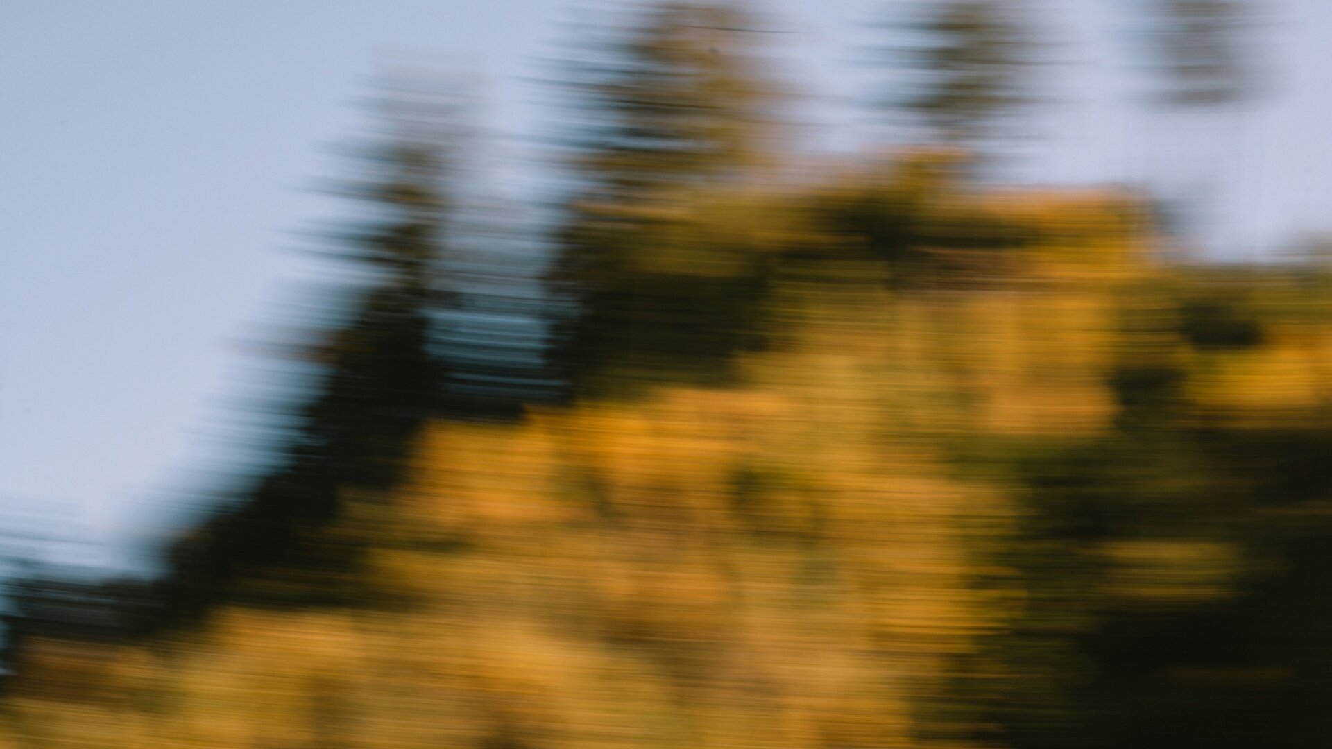 Vitamin Deficiency and Dizziness: What’s the Link?