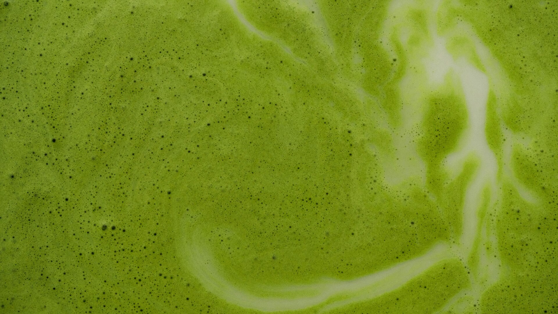 Does Matcha Block Iron Absorption? What You Should Know