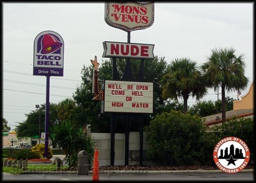 Mons Venus Tampa, FL