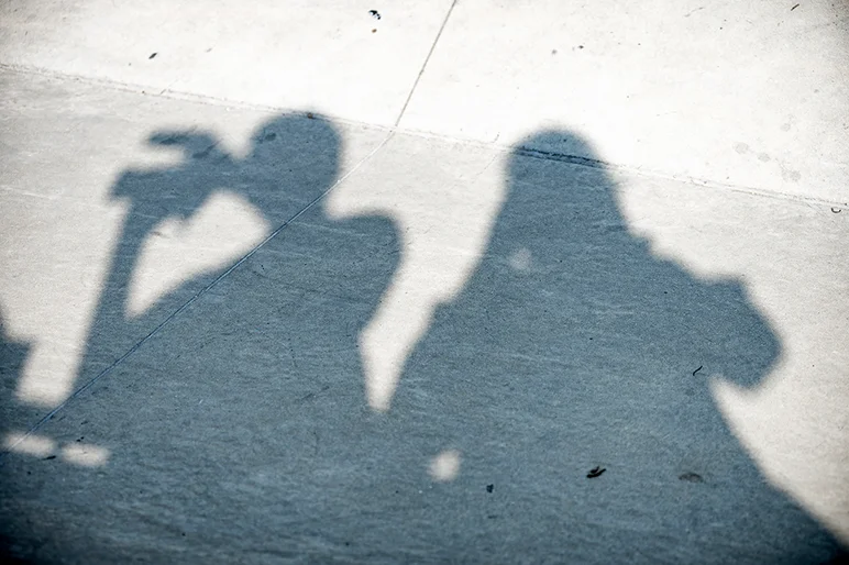 <!--dachi18-finals-->

Guess the shadows??