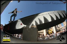 Vans Downtown Showdo