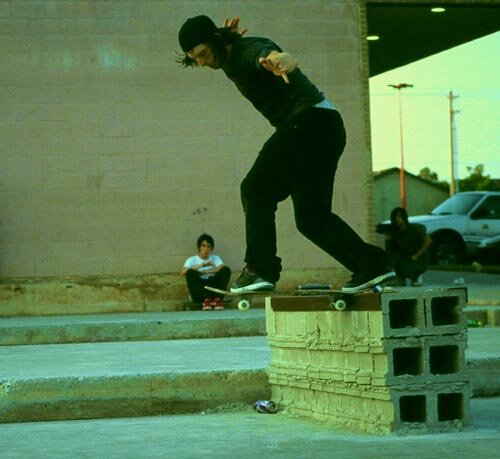 Terry Mathews - backside tailslide