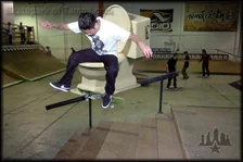 Nike SB P-Rod 2 Test