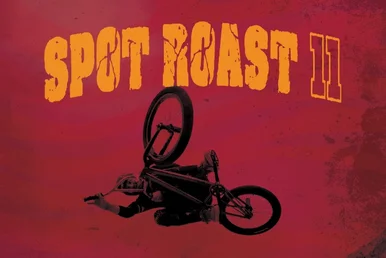 BMX SPoT Roast 11