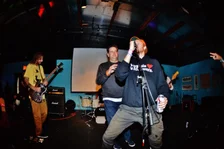 Arctic with a fan si