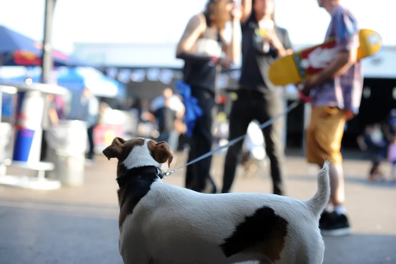 <!--tampapro2014d2-->

This little guy got to meet all his favorite pro's. Did you?