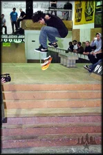 Nike SB P-Rod 2 Test