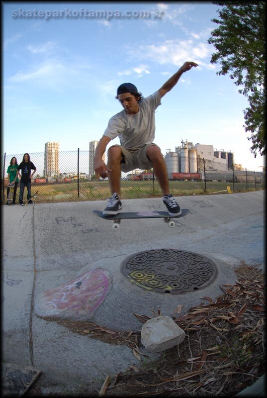 Porpe - ollie