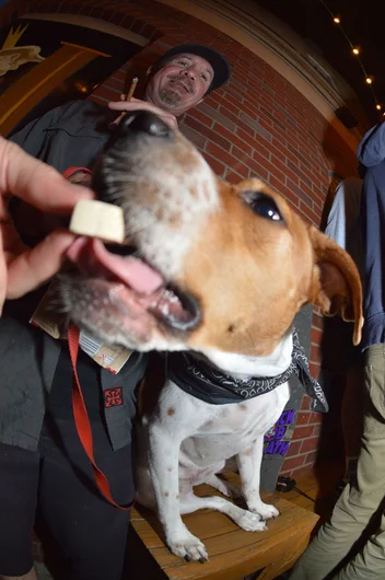 <!--am15sunnight-->

Insider tip #253: if you want dogs to like you keep some treats on you.