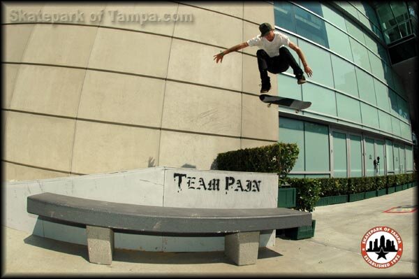 Andrew Reynolds - backside flip