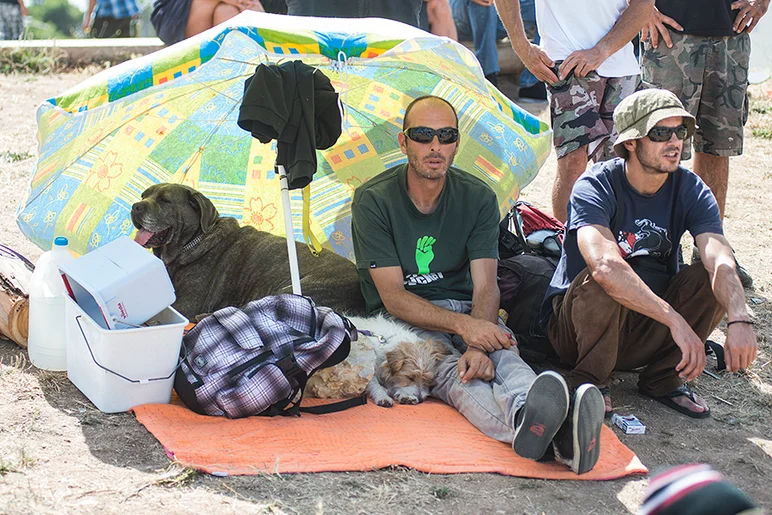 <!--daportsat-->

Even dogs in Portugal love skateboarding.