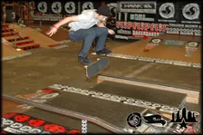 Tampa Am 2006 Skate 