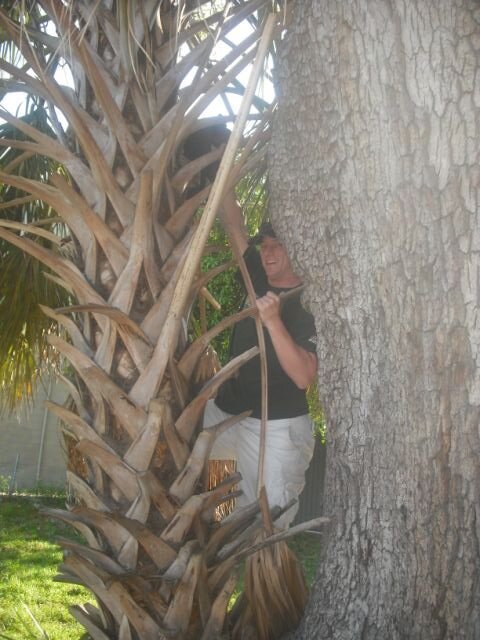 We made this guy climb a tree for his prize