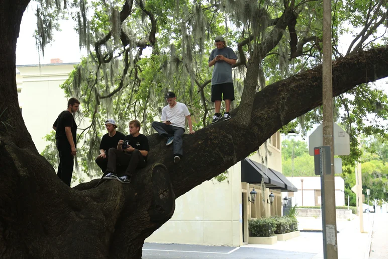 <!--feedyourhead-->

A quick footy party in an oak tree before heading to the Bricks.