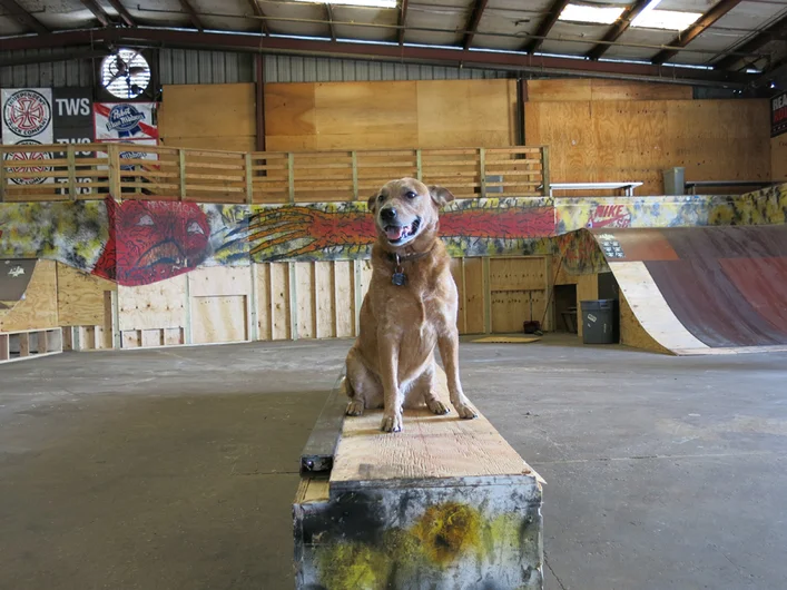 <!--course14-->
Big Russ's dog, Sarge is supervising everything to make sure it's up to par.