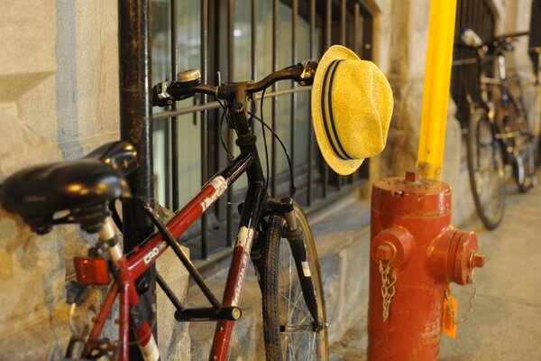 Canadian bike helmet