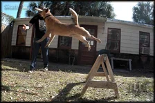 This Week in Tampa M