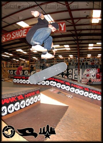 The Skate Guessing Game Photo #1