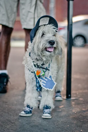 <!--nyc14d2-->

Wassup dawg?