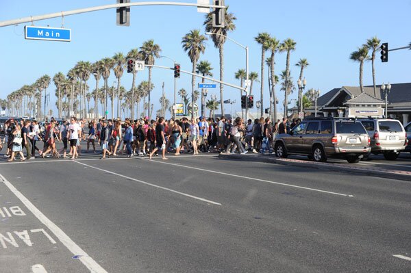 Cattle crossing to the beach