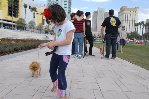 A Walk in the Park - Skypoint lap dog